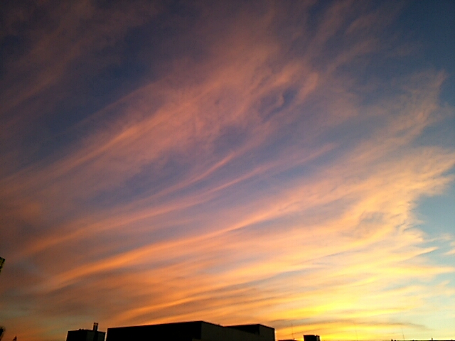 昨日の夕方